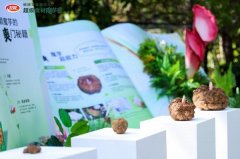 这项演讲由西南大学魔芋研究核心、中国社会科